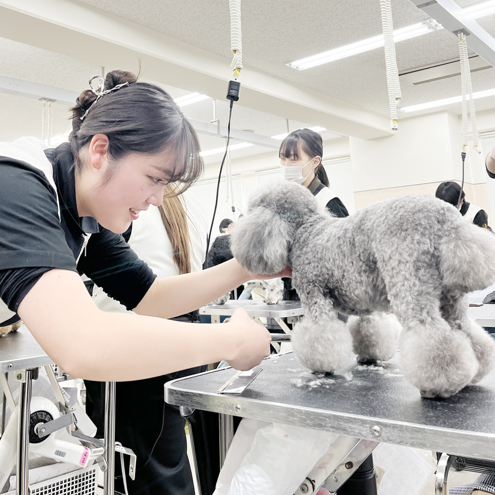 ２年生のカット中と仕上がり写真♪
